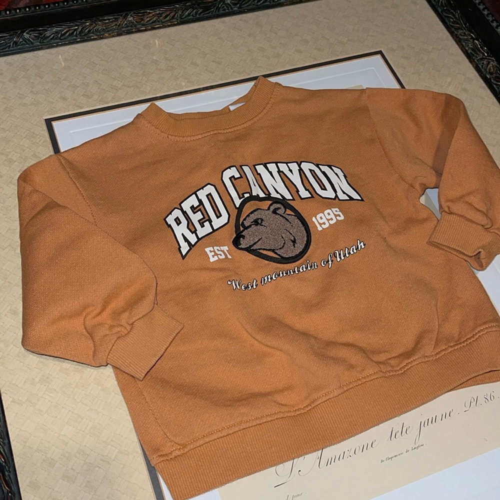 SOLD🚫 sweatshirt